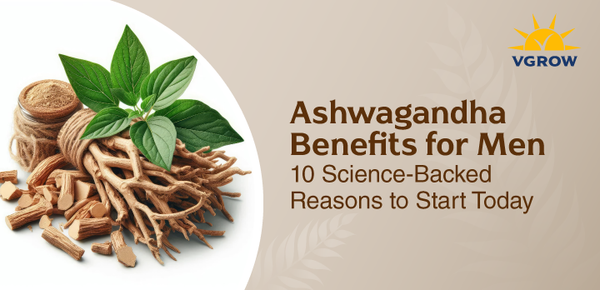 Ashwagandha Benefits for Men: 10 Science-Backed Reasons to Start Today