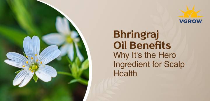 Bhringraj Oil Benefits: Why It's the Hero Ingredient for Scalp Health