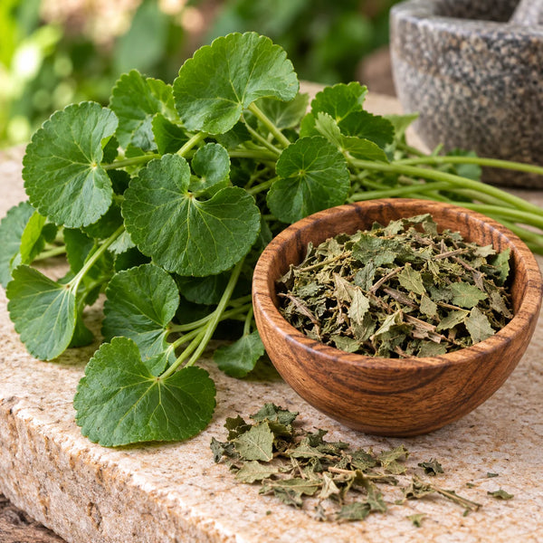 Centella Asiatica