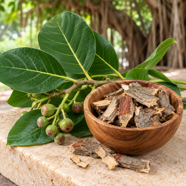 Ficus Benghalensis