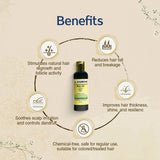 Hair Growth Oil for Men & Women (200 ml)