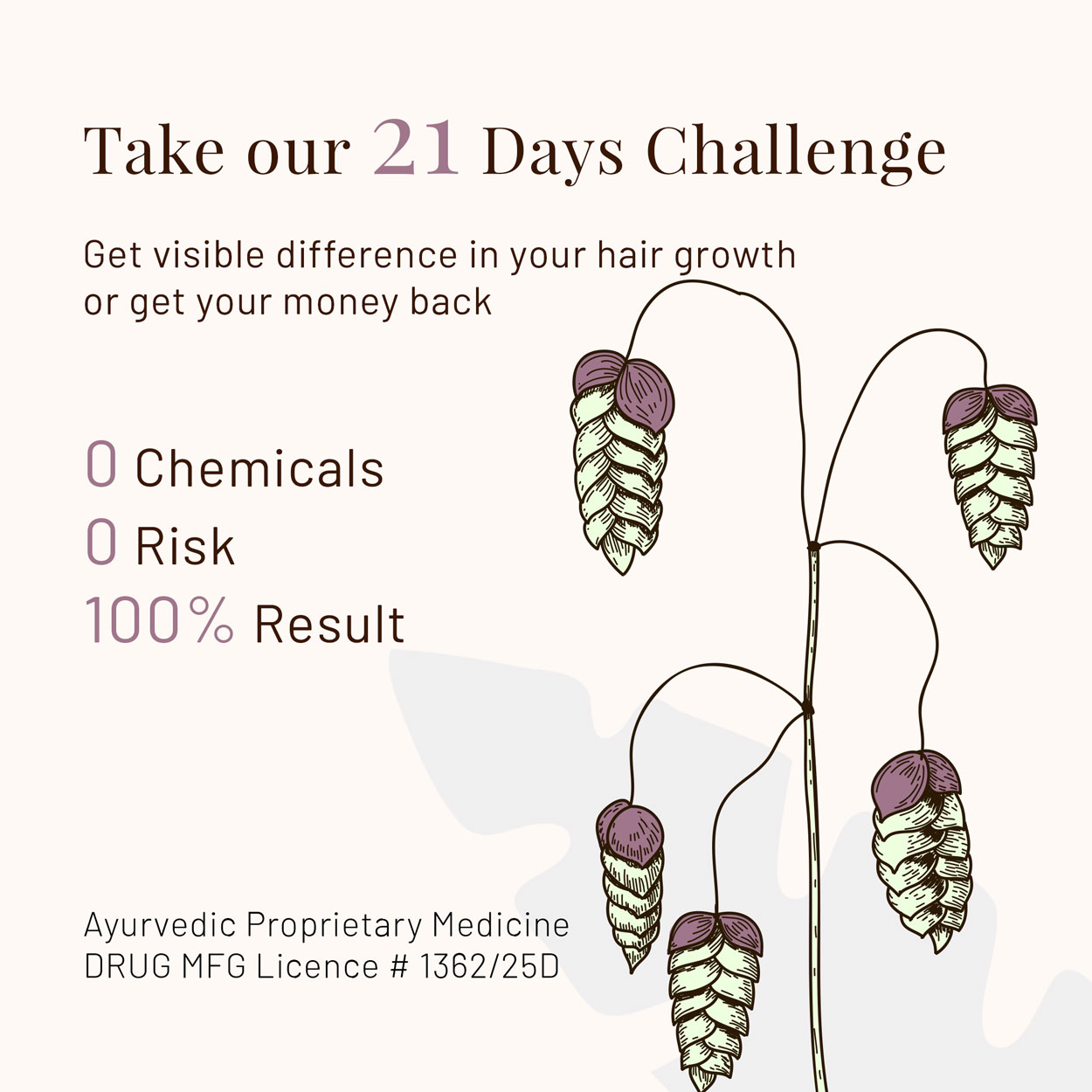 hair-oil-6 Embrace the guaranteed power of nature. Our herbal formulation is proven to stimulate hair growth. We stand by our results with a 21-day money-back guarantee. If you don't see new hair starting to grow, the product is on us. Start your risk-free challenge today!